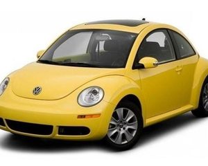 BEETLE A4